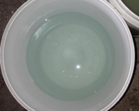 蕾丝视频下载安装